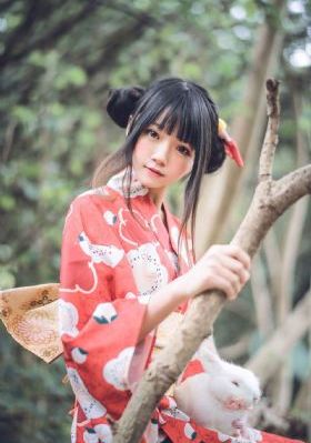 龙珠英雄在线观看完整版免费