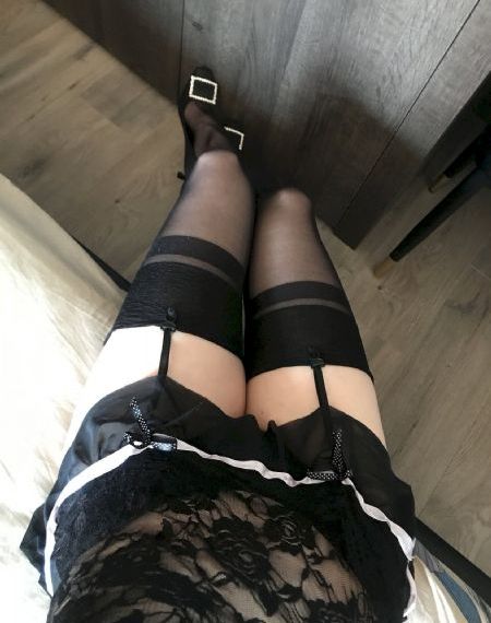 忠犬帕尔玛电影